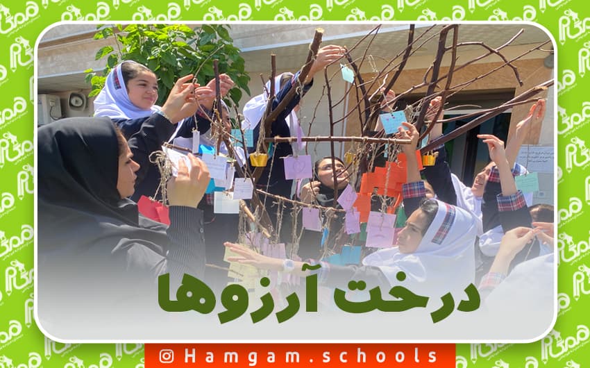 درخت نور و شادی و آرزوها